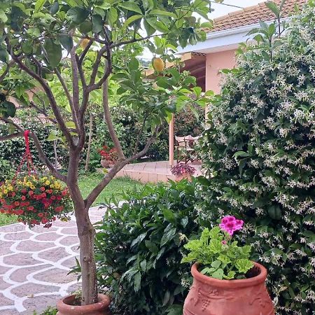 Ioannidis Studios Valtos بارغا المظهر الخارجي الصورة